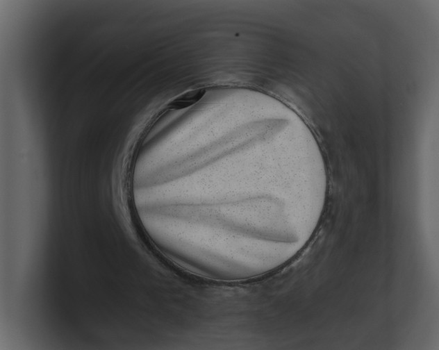 X0000100900193200807151125