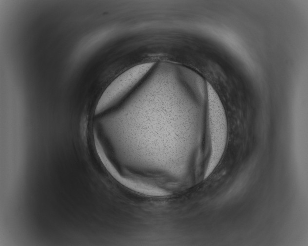 X0000100900194200807151125