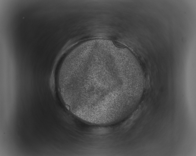 X0000100900198200807151125