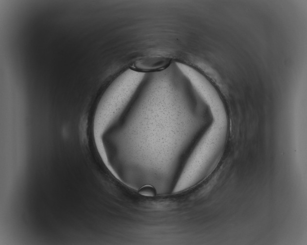 X0000100900201200807151125