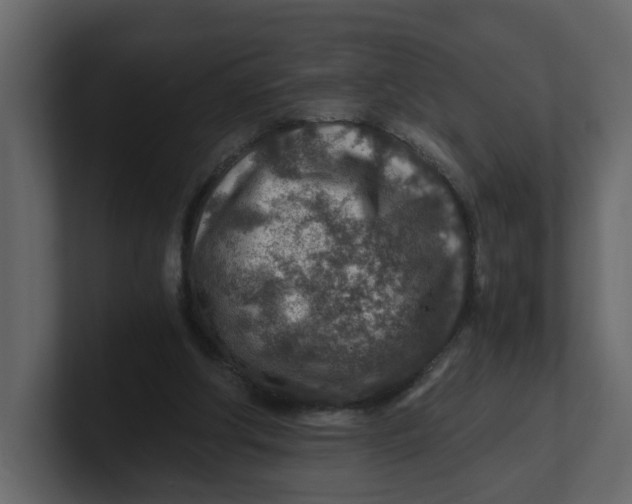 X0000100900202200807151125