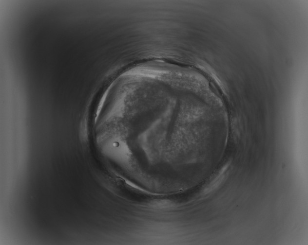 X0000100900203200807151125