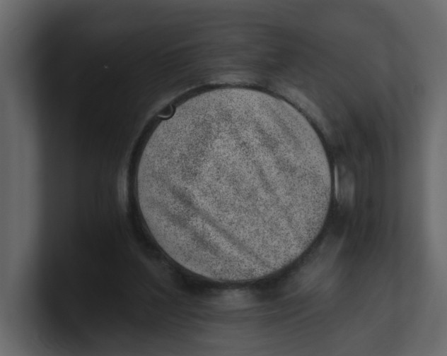 X0000100900204200807151125