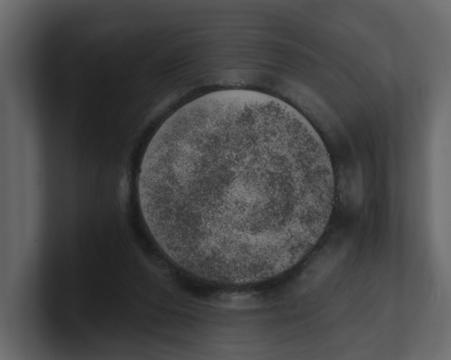 X0000100900208200807151124