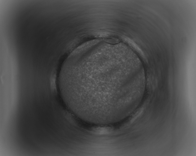 X0000100900209200807151124