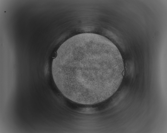 X0000100900212200807151124