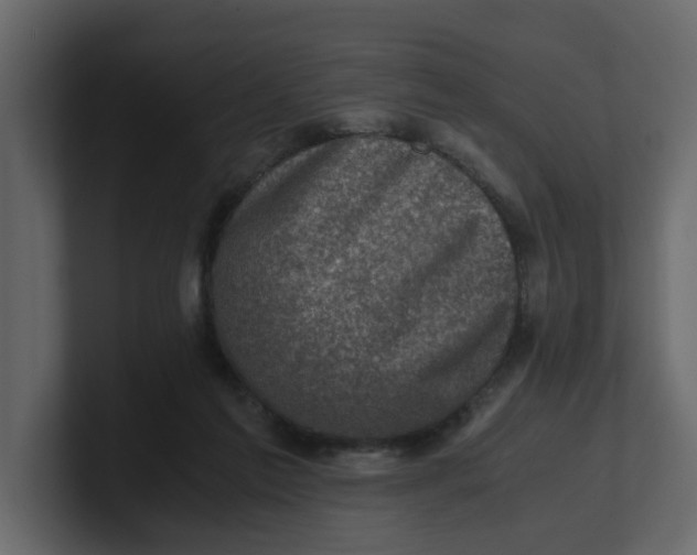 X0000100900213200807151124