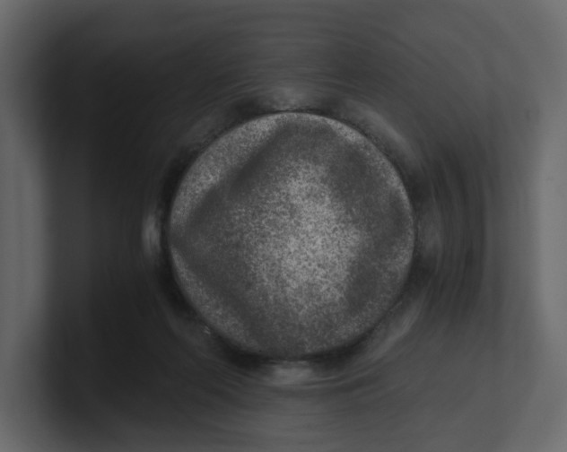 X0000100900214200807151124