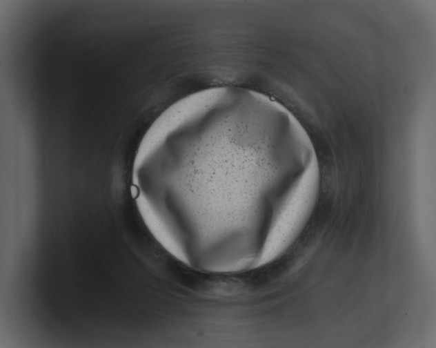 X0000100900215200807151124