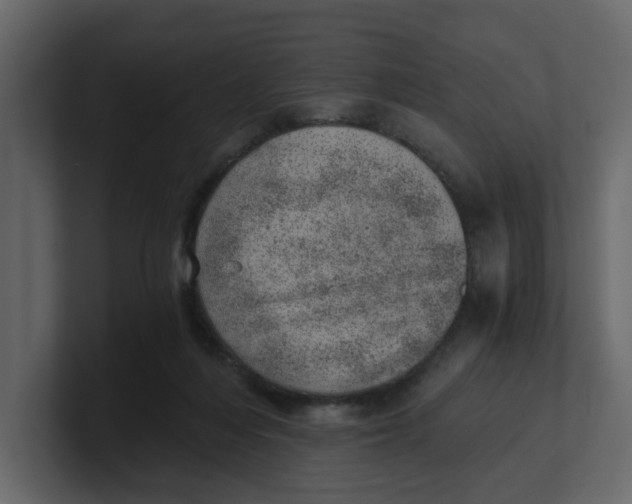 X0000100900216200807151124