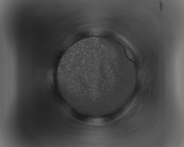 X0000100900217200807151124