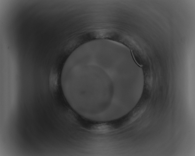 X0000100900219200807151124