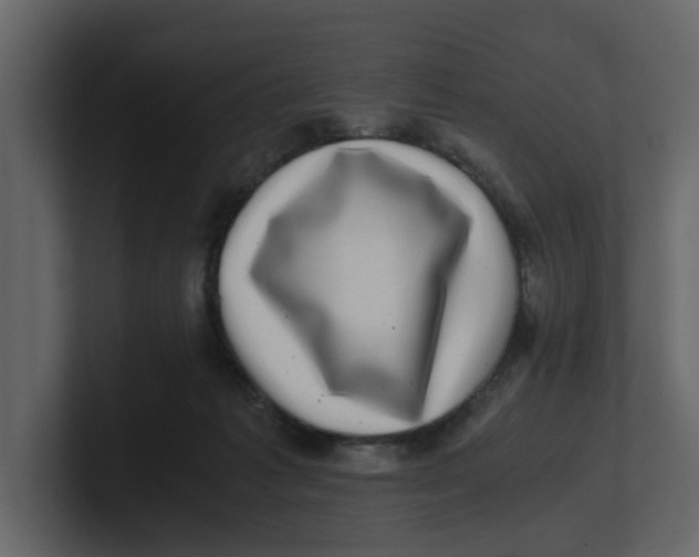 X0000100900221200807151124