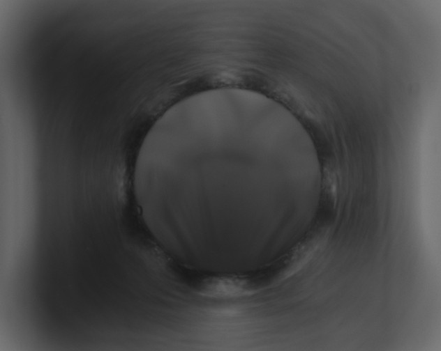 X0000100900223200807151124