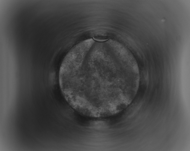 X0000100900224200807151124