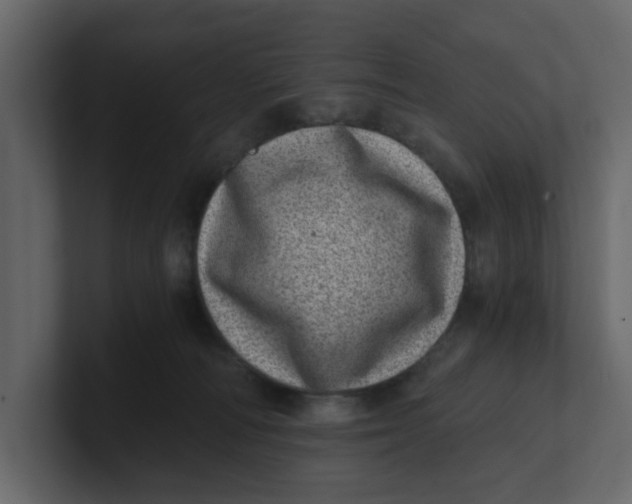 X0000100900226200807151124