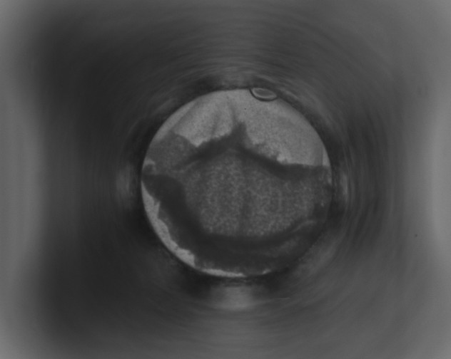 X0000100900228200807151124