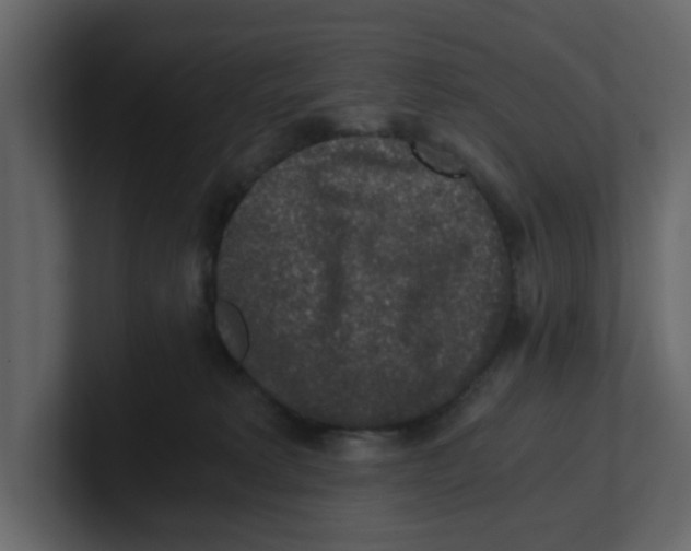 X0000100900229200807151124