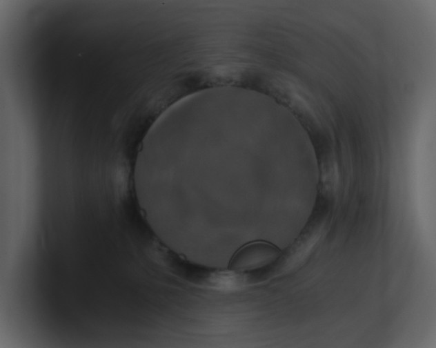 X0000100900231200807151124