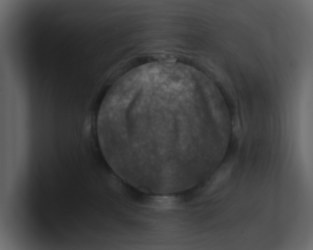 X0000100900233200807151124