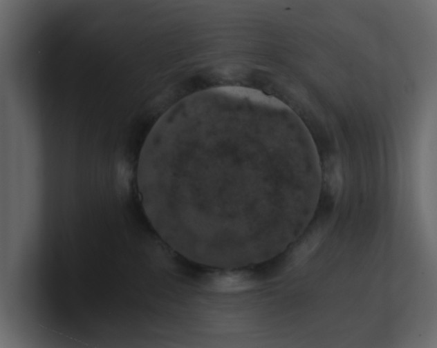 X0000100900235200807151124