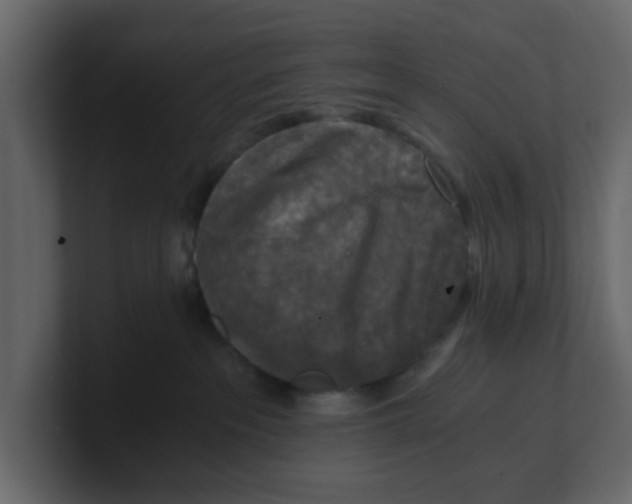 X0000100900237200807151124