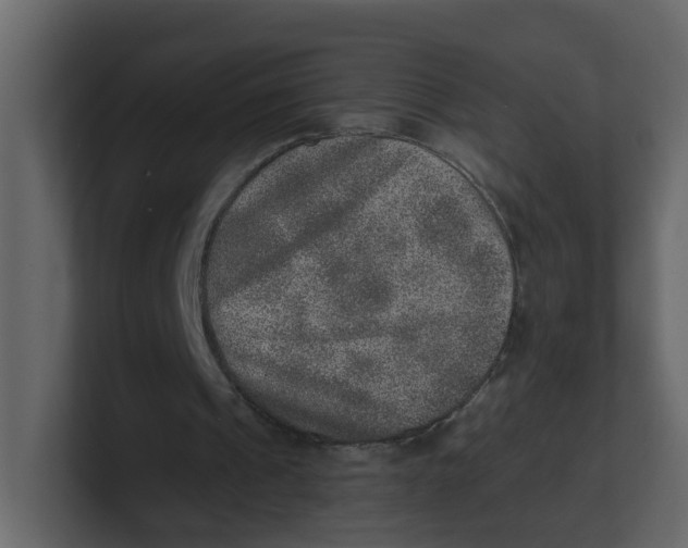 X0000100900241200807151123