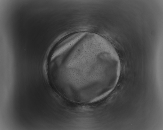 X0000100900244200807151123