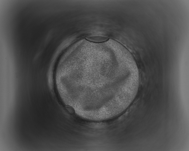 X0000100900245200807151123