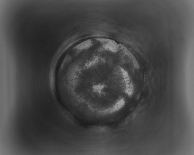 X0000100900247200807151123