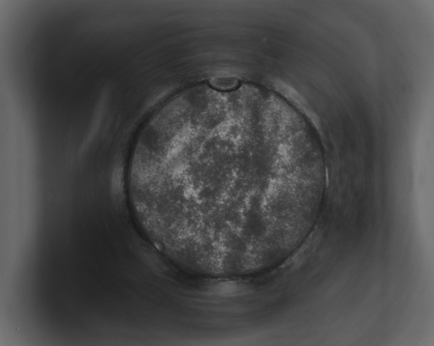 X0000100900249200807151124