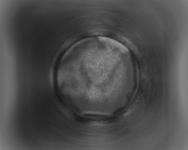 X0000100900250200807151124