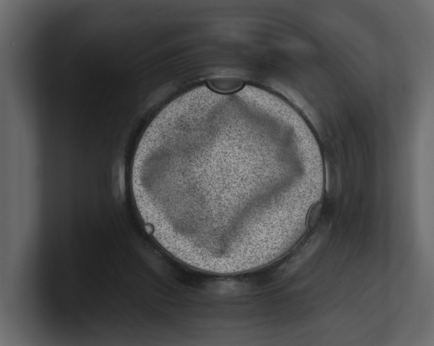 X0000100900253200807151124