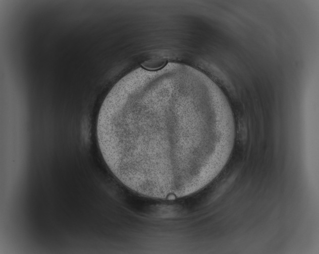 X0000100900255200807151124