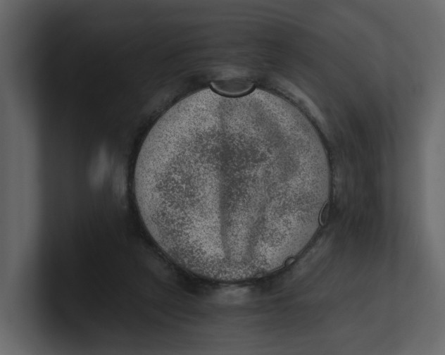 X0000100900257200807151124