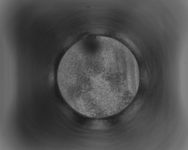 X0000100900261200807151124