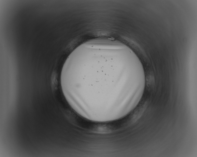 X0000100900264200807151124