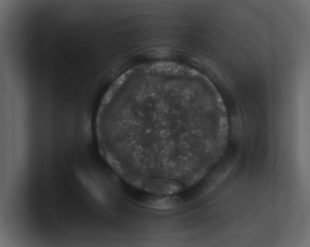 X0000100900267200807151124