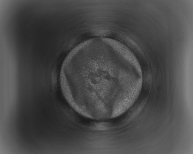 X0000100900268200807151124