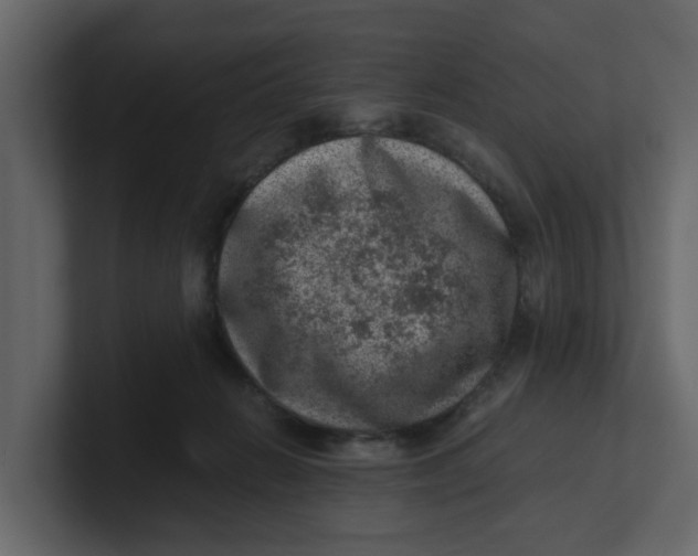 X0000100900270200807151124