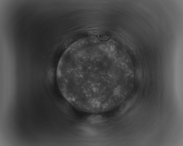 X0000100900271200807151124