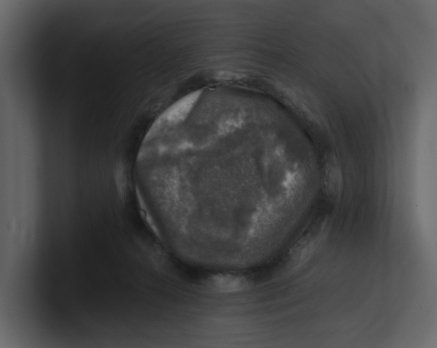 X0000100900272200807151124