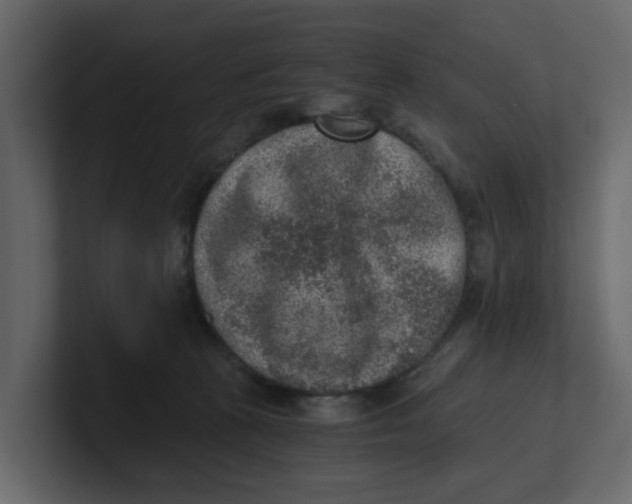 X0000100900273200807151124