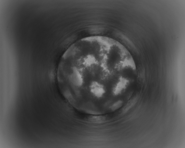 X0000100900277200807151124