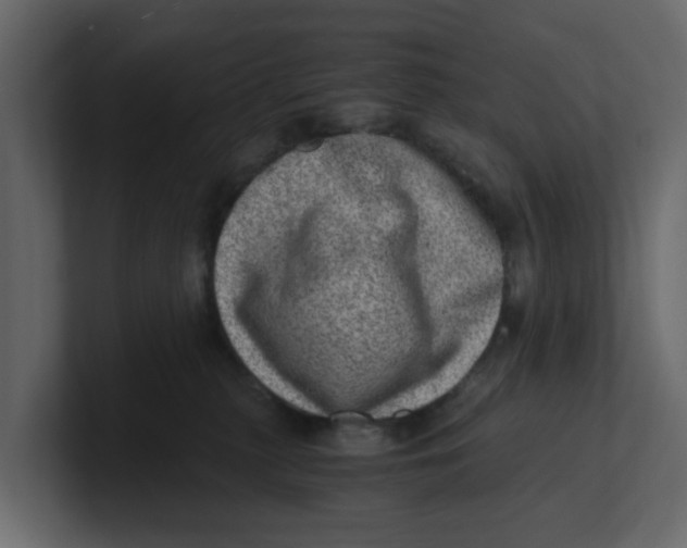 X0000100900279200807151124