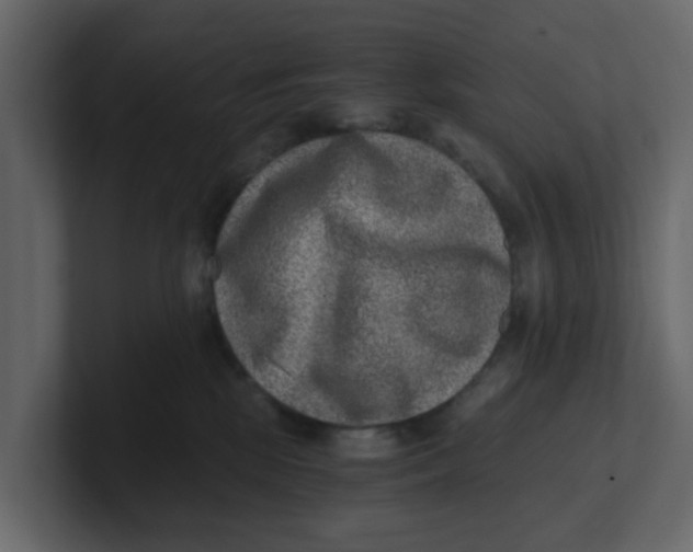 X0000100900281200807151124