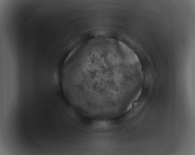 X0000100900282200807151124