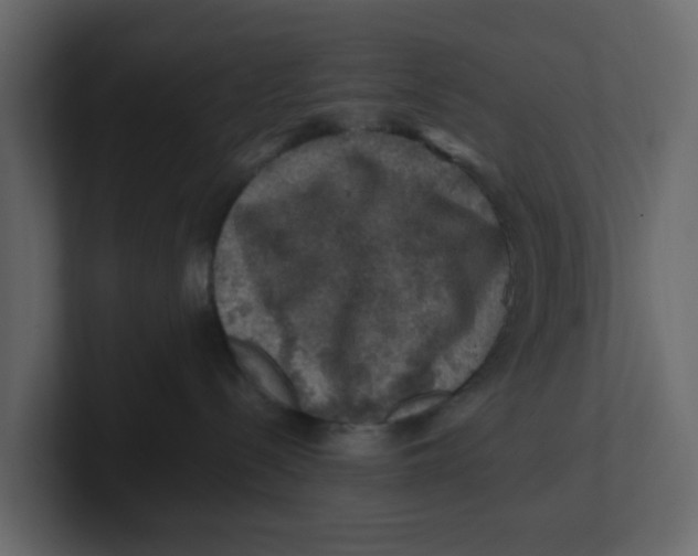 X0000100900288200807151124