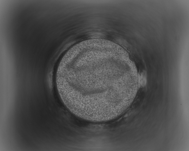 X0000100900291200807151123