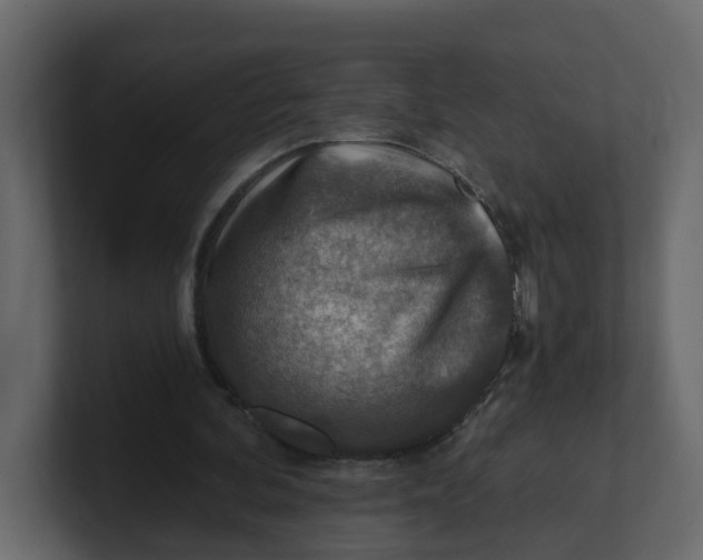 X0000100900292200807151123